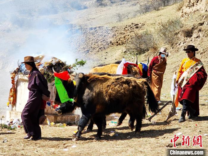 圖為春耕儀式現(xiàn)場。　王麗山 供圖