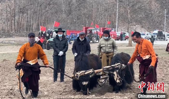 圖為活動現(xiàn)場當(dāng)?shù)厝罕娬故緜鹘y(tǒng)春耕方式。　李江寧 攝