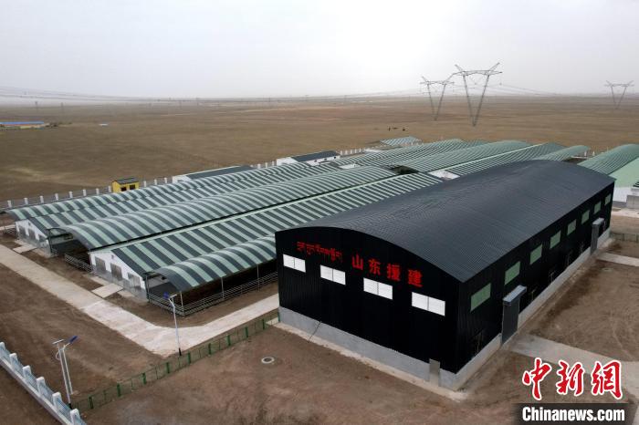 圖為航拍生態(tài)畜牧業(yè)集中規(guī)?；B(yǎng)殖基地。　蔡志睿 攝