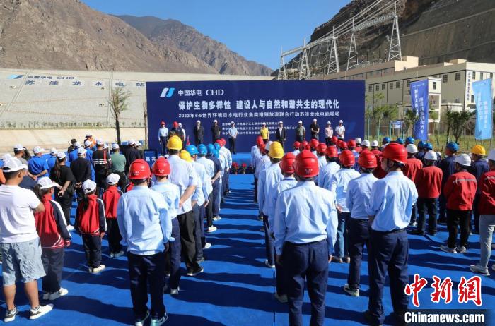 圖為蘇洼龍水電站魚類放流現(xiàn)場(chǎng)?！√K洼龍水電站供圖