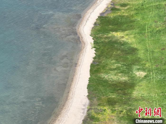 圖為航拍仲夏時(shí)節(jié)，青海湖畔綠茵如毯?！∑钤鲚?攝