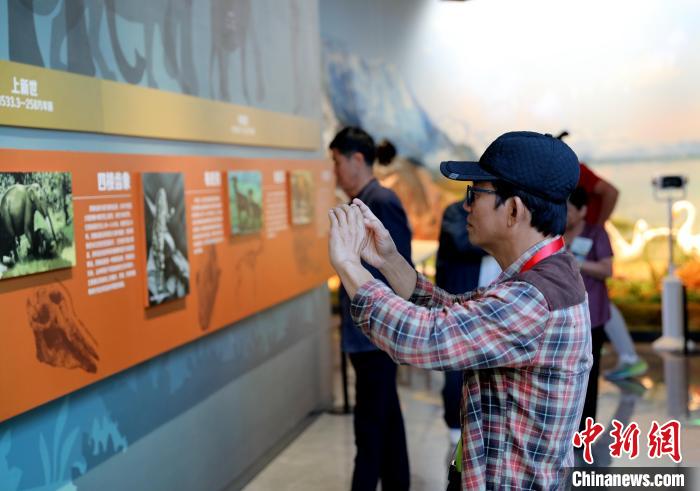 圖為臺商在祁連山國家公園生態(tài)科普館觀看墻面藝術(shù)圖文?！⊙Φ?攝