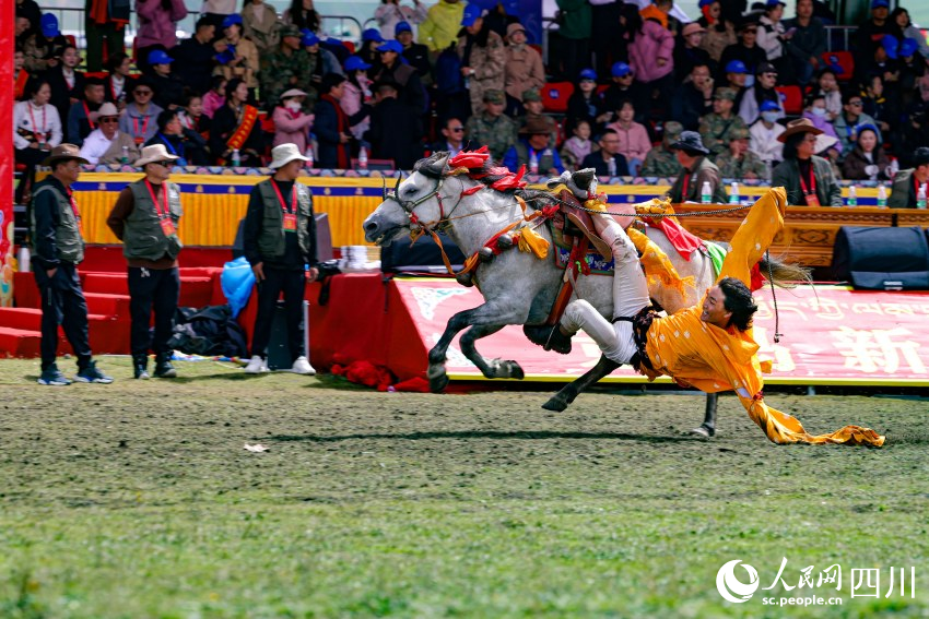 馬術(shù)表演現(xiàn)場。洛絨尼瑪攝