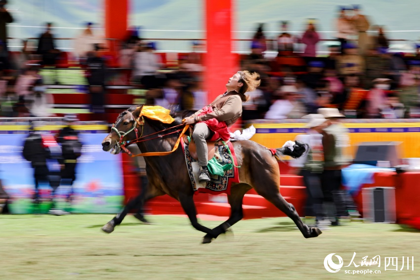 馬術(shù)表演現(xiàn)場。洛絨尼瑪攝