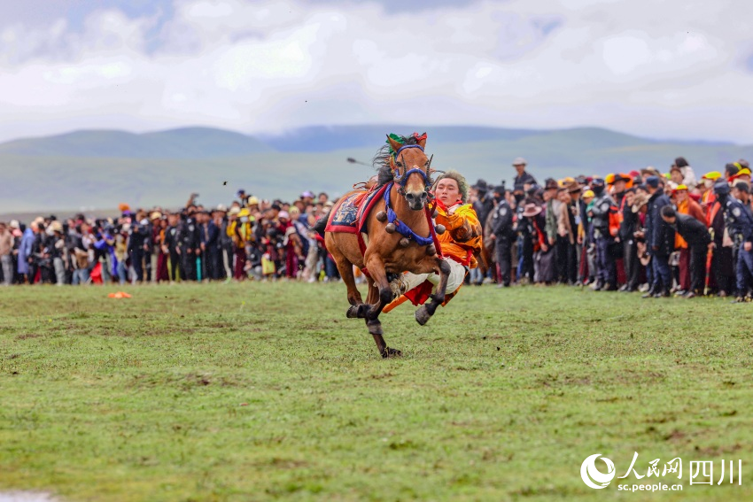 馬術(shù)表演現(xiàn)場。洛絨尼瑪攝