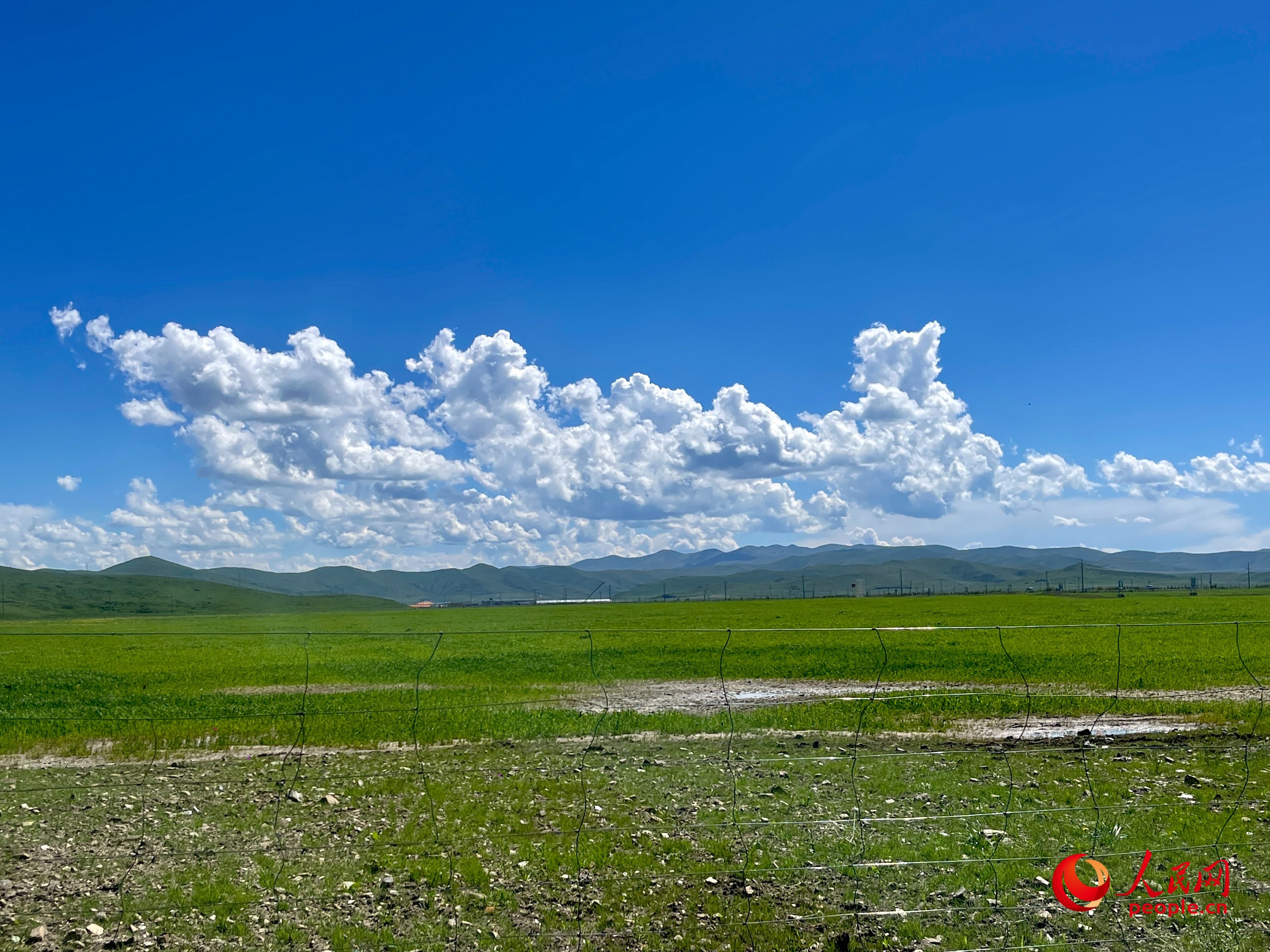 唐日合作社附近，藍(lán)天白天、綠草如茵。人民網(wǎng) 周靜圓攝