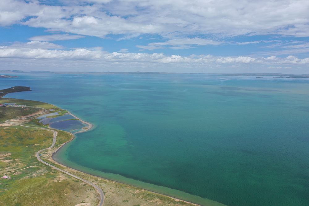 大自然的生態(tài)美學(xué)！黃河源園區(qū)哪一抹色彩最讓你心動(dòng)？