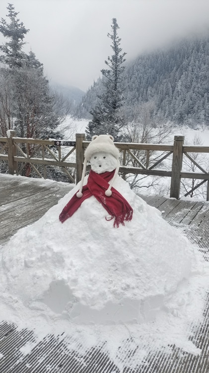 游客堆的雪人。九管局供圖