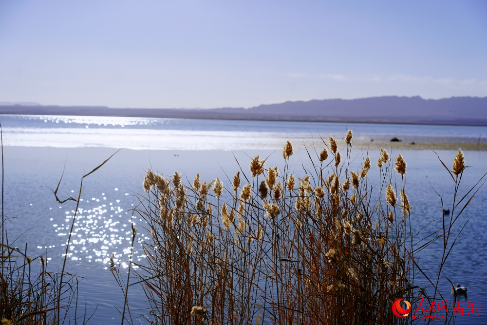可魯克湖秋色如畫。人民網(wǎng) 陳明菊攝