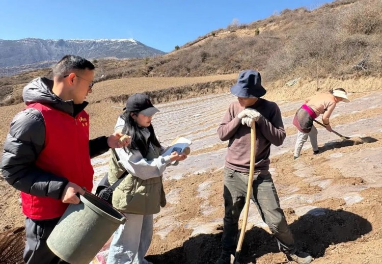 農(nóng)技人員現(xiàn)場指導。黑水縣融媒體中心供圖