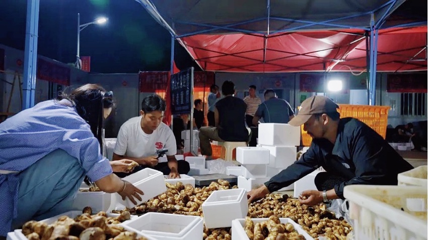 直播現(xiàn)場。雅江外宣供圖