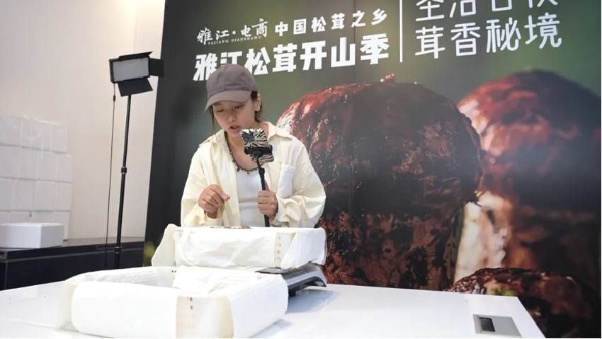 直播現(xiàn)場。雅江外宣供圖