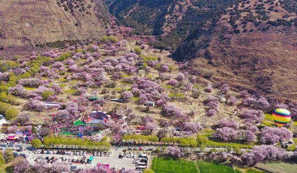 世外桃源！一組圖告訴你，西藏林芝桃花能有多美