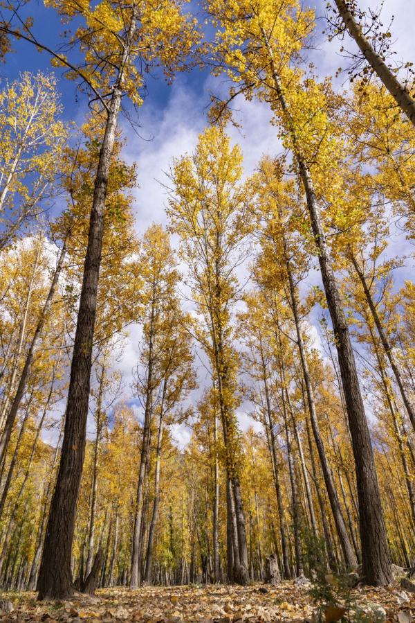 跟我，踏上最美“景觀大道”