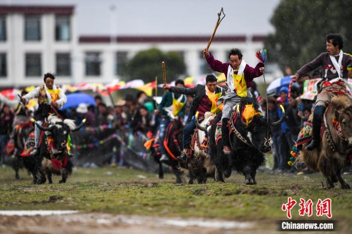 圖為拉薩郊縣的賽馬節(jié)(資料圖)。何蓬磊 攝