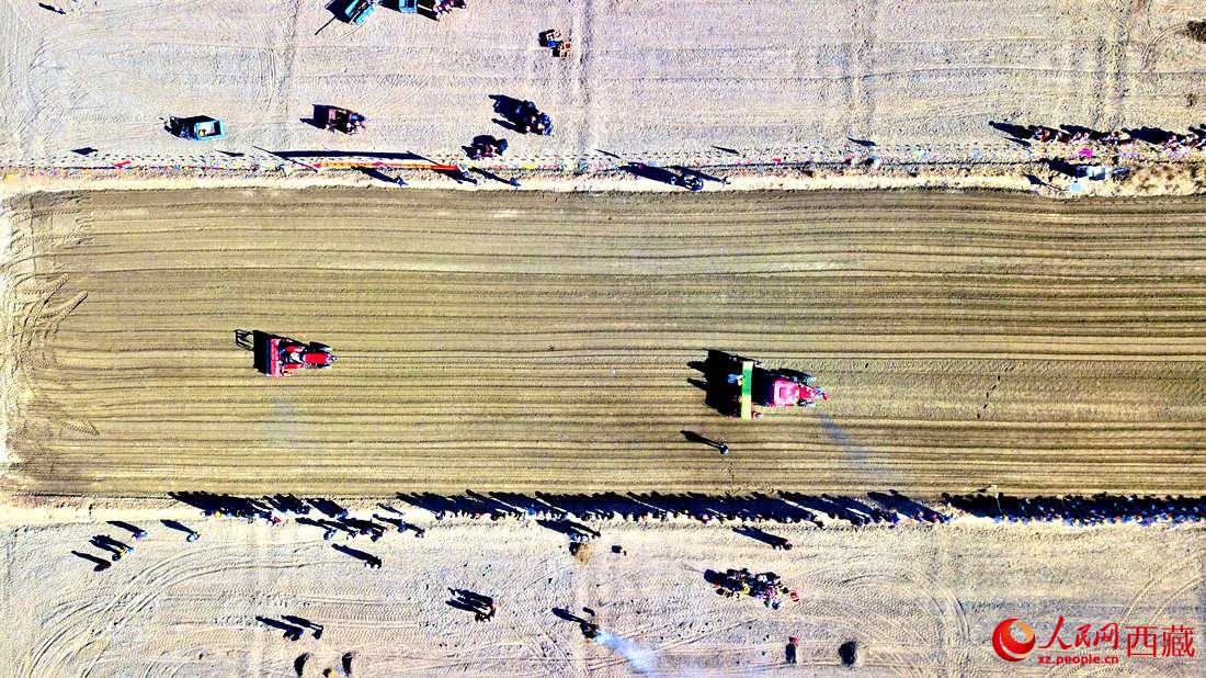 山南市扎囊縣扎其鄉(xiāng)孟卡榮村迎來春耕第一犁。人民網(wǎng) 次仁羅布攝