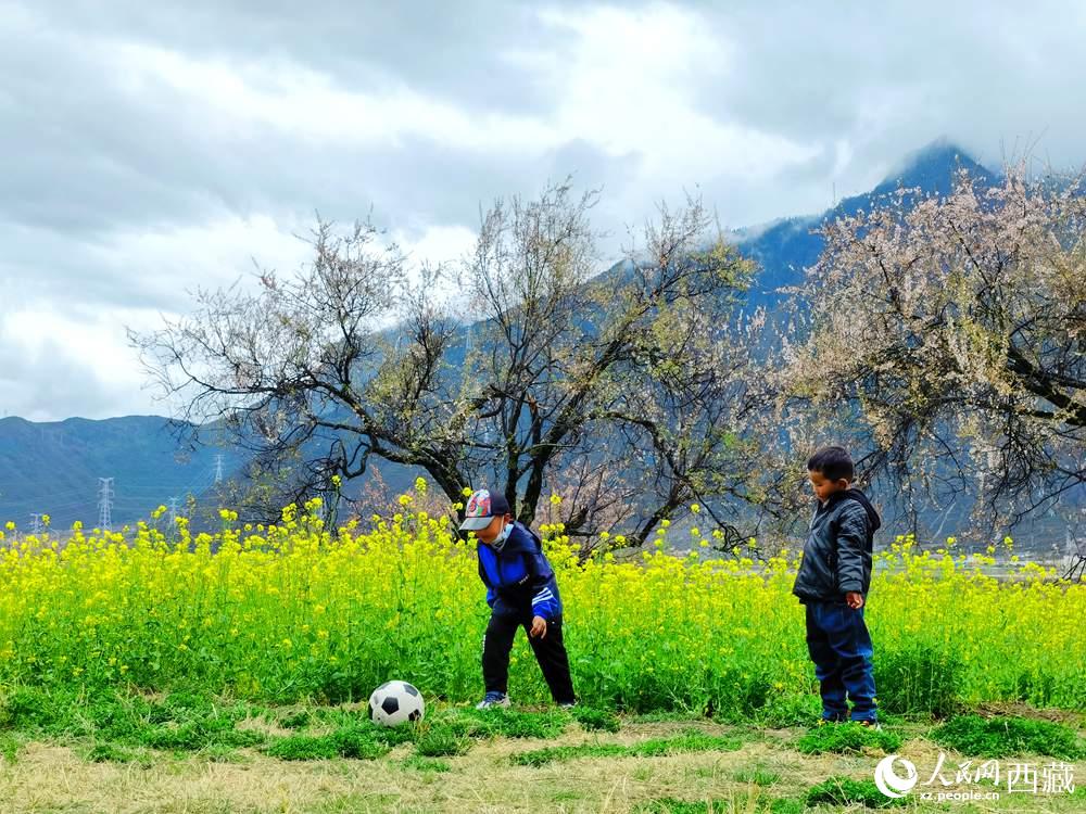 孩童在桃花下嬉戲。人民網(wǎng) 李海霞攝