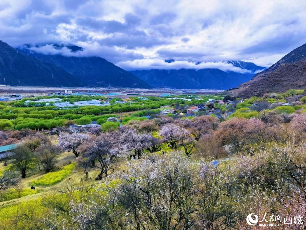 桃花從中的“童話(huà)小鎮(zhèn)”。人民網(wǎng) 李海霞攝