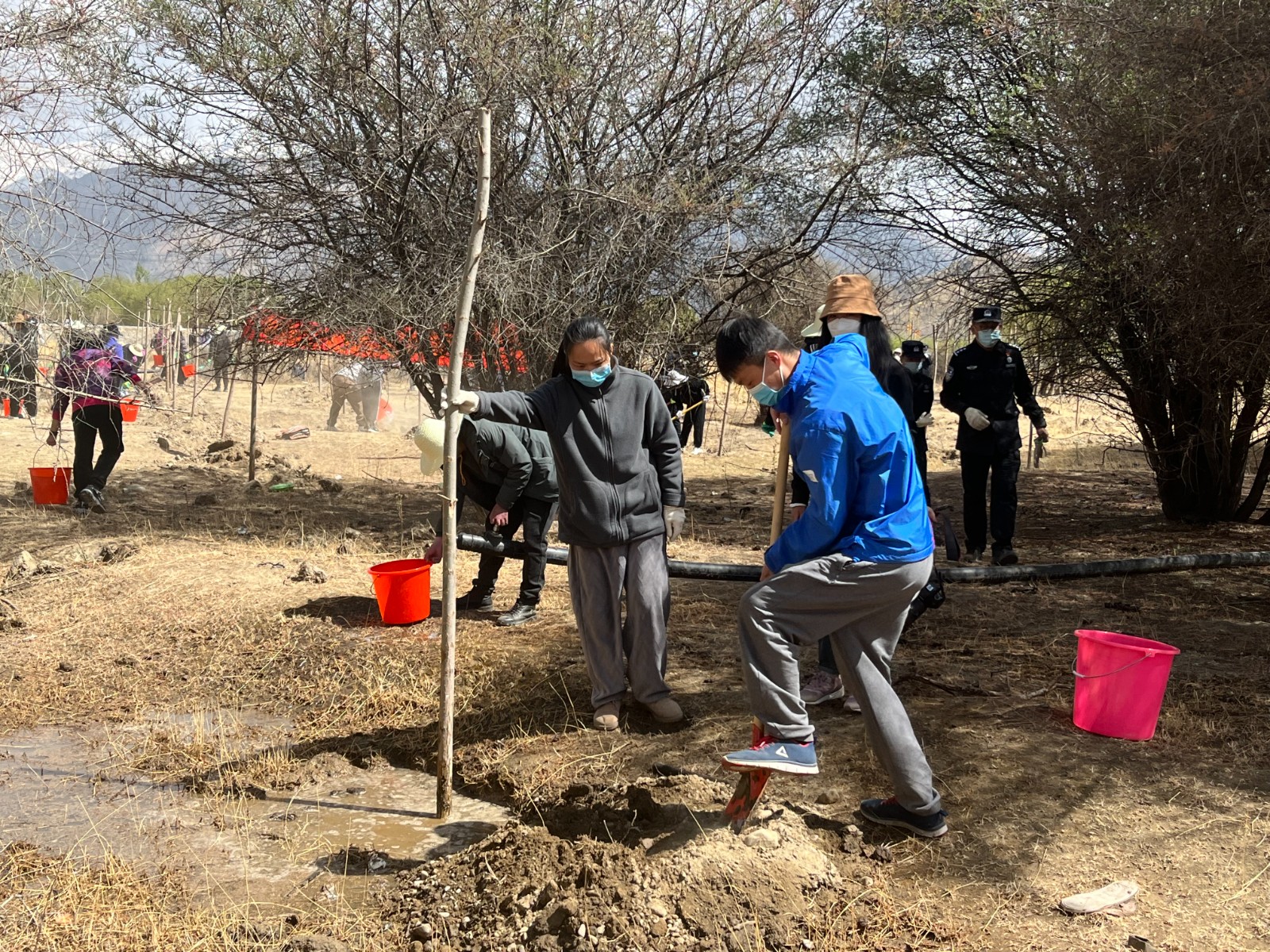 植樹現(xiàn)場(chǎng)，大家分工明確，配合默契(2000565)-20220420090303.jpg