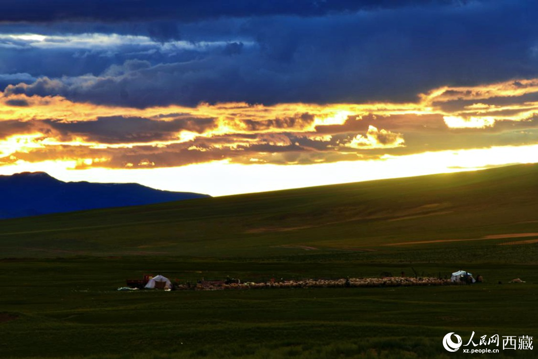 黃昏下的帳篷，牧民過著幸福生活。 人民網(wǎng) 李海霞攝