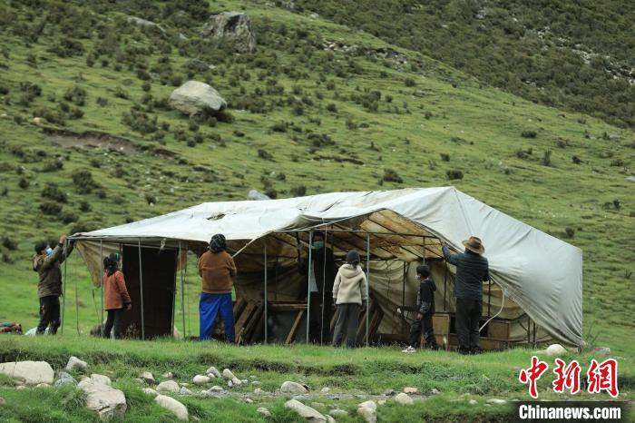 圖為牧民們在秋季牧場搭建帳篷?！÷蹇?攝