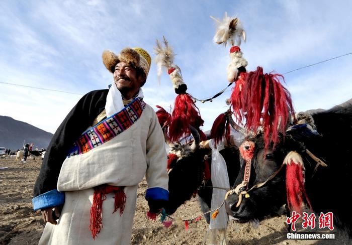 資料圖為2013年3月16日，拉薩市堆龍德慶區(qū)德慶村的農(nóng)民牽著牦牛參加春耕儀式，按照傳統(tǒng)方式由牦牛開(kāi)第一犁。 <a target='_blank' href='/'><p  align=