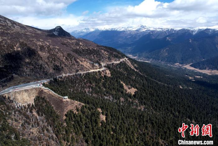 2月17日，西藏林芝魯朗林海。(無人機(jī)照片) 李林 攝