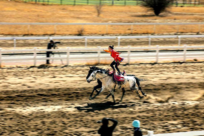 藏歷新年，精彩的馬術(shù)表演。張靜攝
