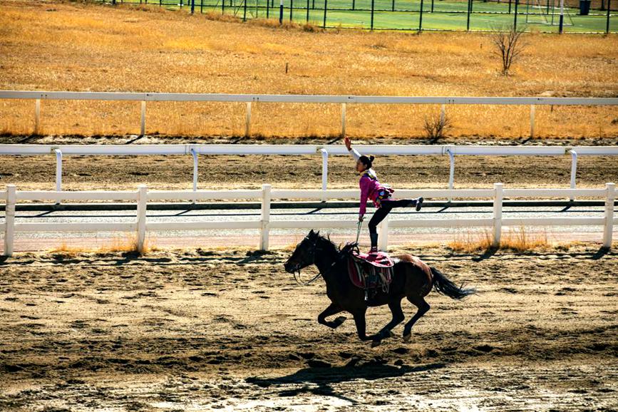 藏歷新年，精彩的馬術(shù)表演。張靜攝
