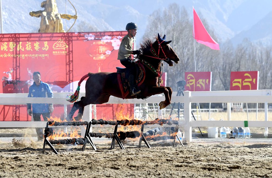 藏歷新年，精彩的馬術(shù)表演。潘多攝