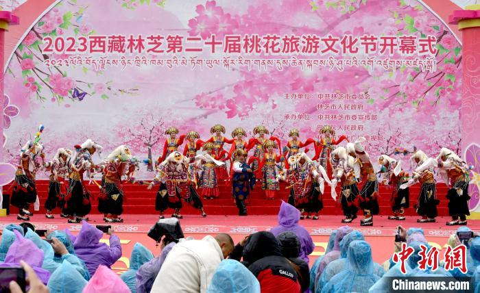 3月28日，西藏林芝第二十屆桃花旅游文化節(jié)開幕式上的文藝表演?！±盍?攝