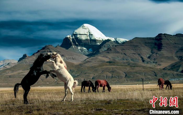 圖為參展攝影師拍攝的西藏阿里岡仁波齊?！≈鬓k方 供圖