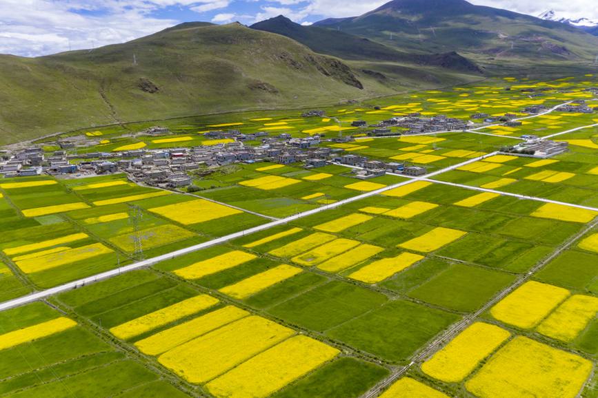 航拍道布龍村，依山傍水，阡陌縱橫。