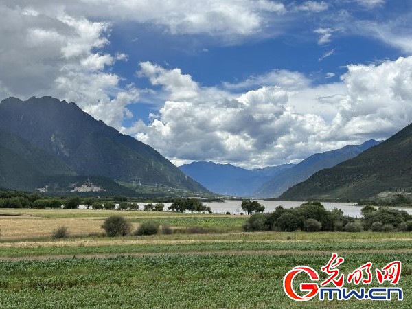 我們的家園｜林芝米林縣：河長(zhǎng)護(hù)藥洲，碧水映花谷