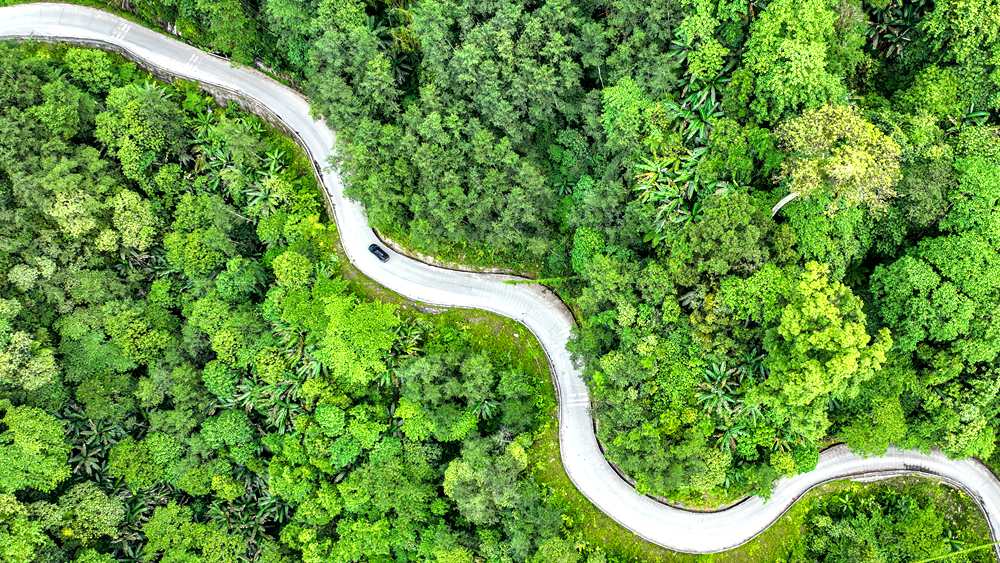 穿行于綠色間，生態(tài)優(yōu)良。張澤坤攝