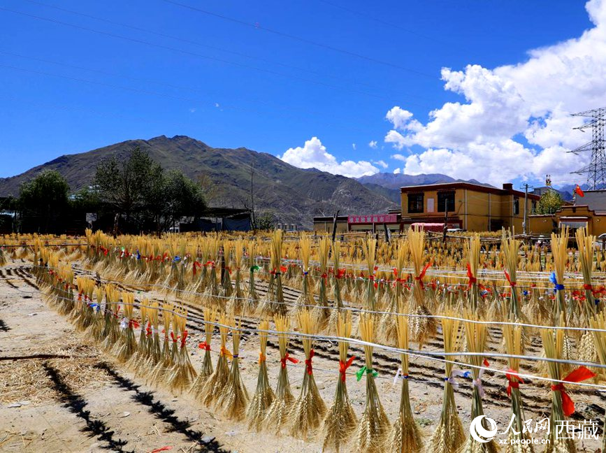 幸福生活曬出來(lái)。人民網(wǎng) 李海霞攝