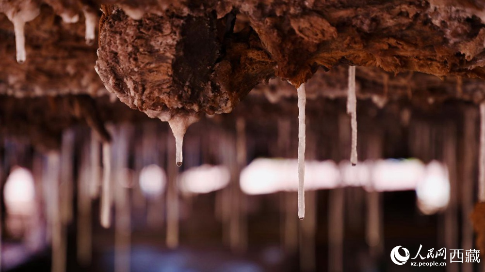 自然滲下的鹽柱結(jié)晶。人民網(wǎng)記者 次仁羅布攝