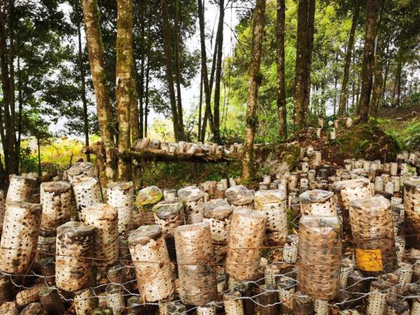 幾代建設(shè)者，歷經(jīng)半個(gè)多世紀(jì)完成！這是一條怎樣的公路？