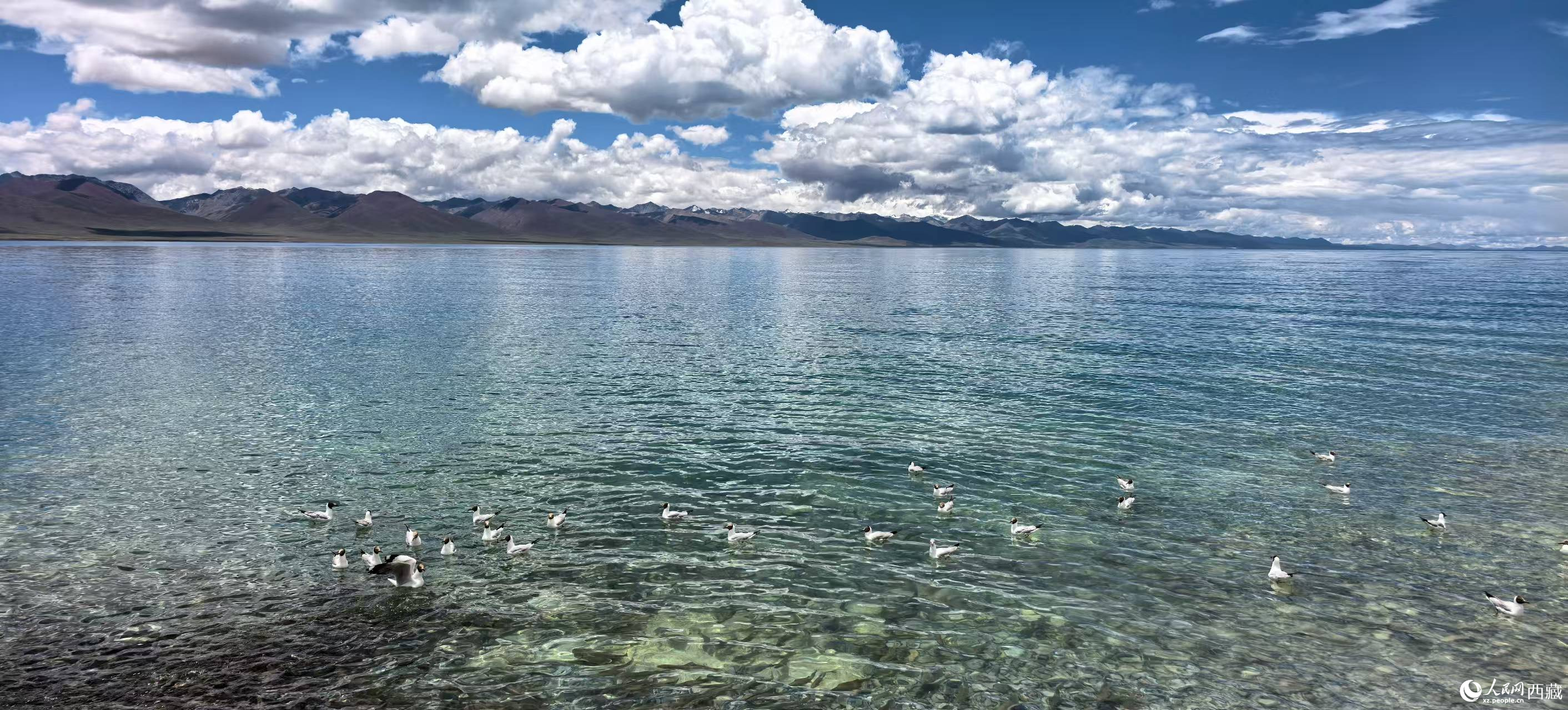 夏日納木錯(cuò) 景美醉游人【6】