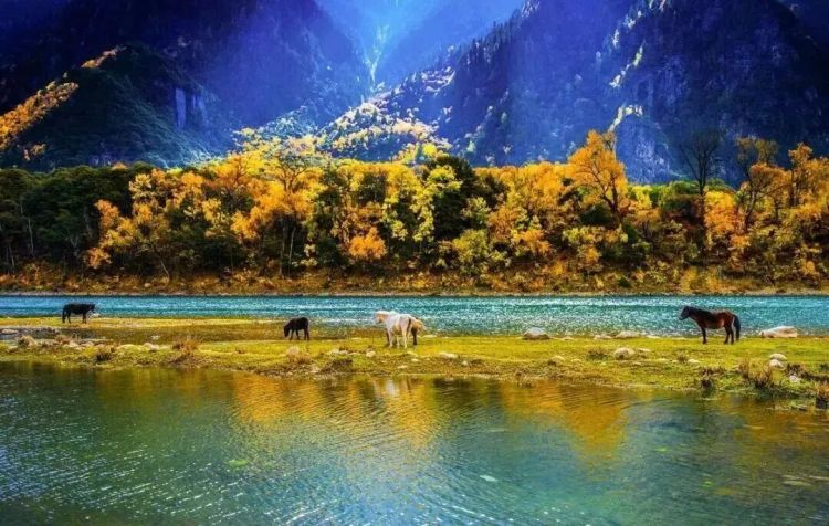 懂西藏的人，一定不會(huì)錯(cuò)過(guò)林芝的秋天