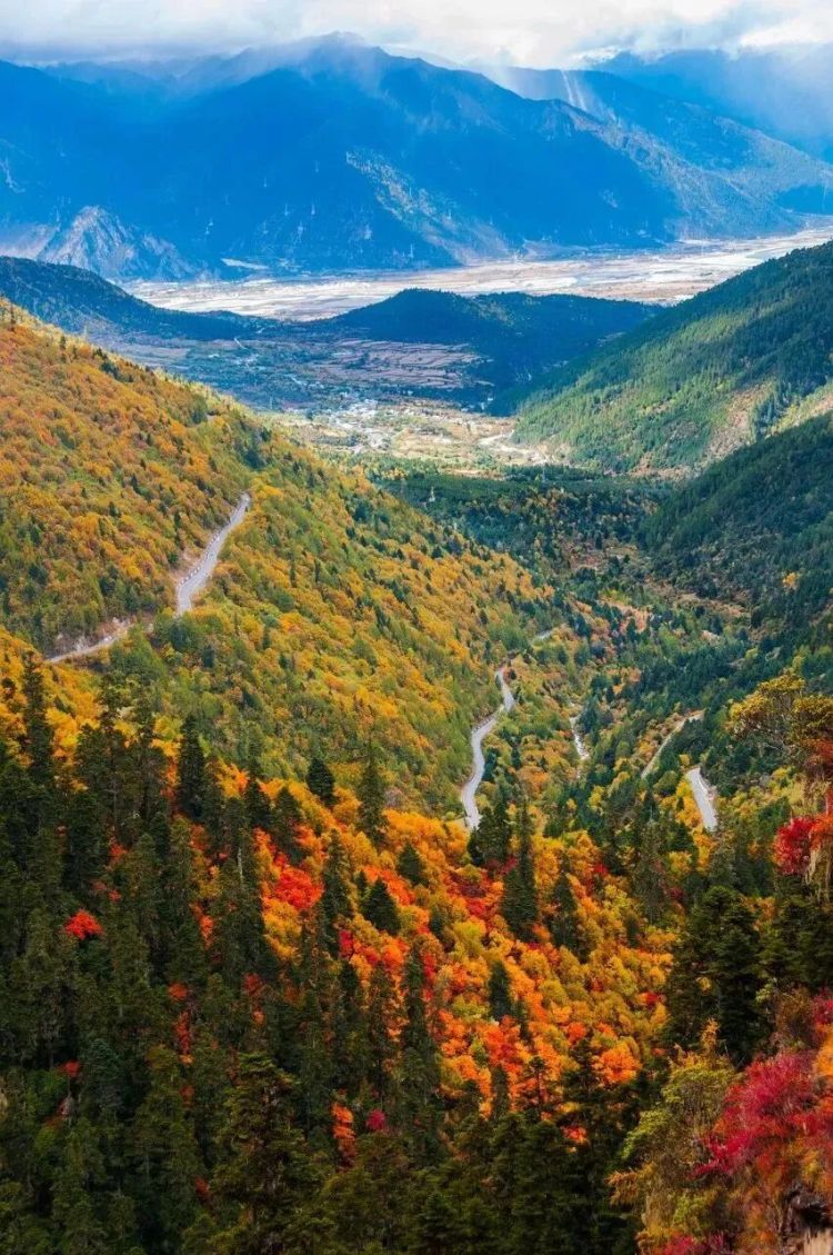 懂西藏的人，一定不會(huì)錯(cuò)過(guò)林芝的秋天