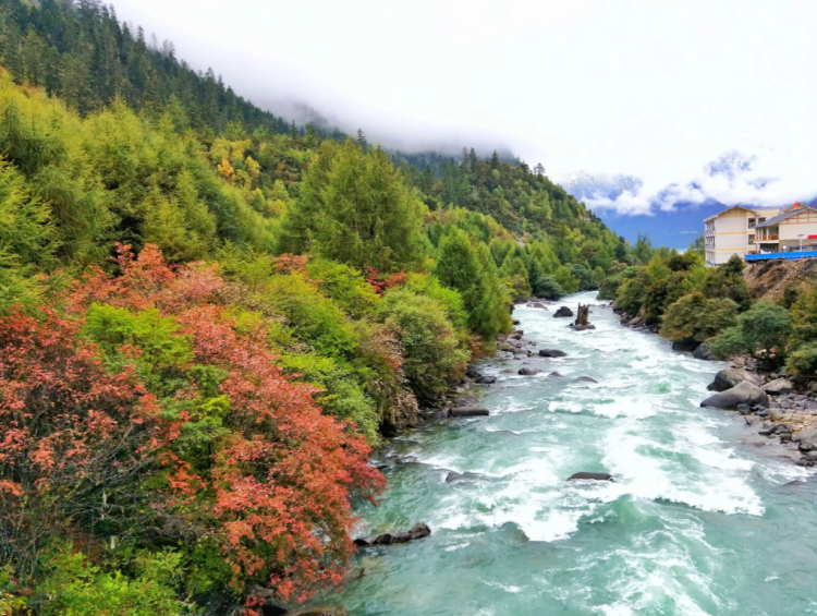 懂西藏的人，一定不會(huì)錯(cuò)過(guò)林芝的秋天