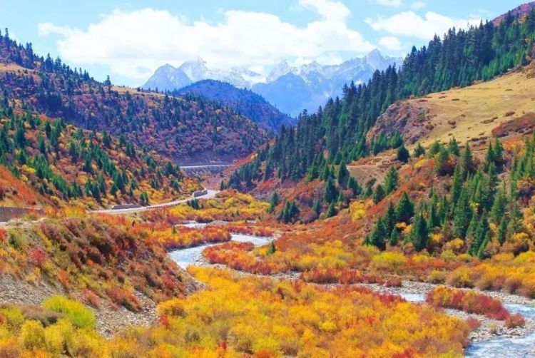 懂西藏的人，一定不會(huì)錯(cuò)過(guò)林芝的秋天