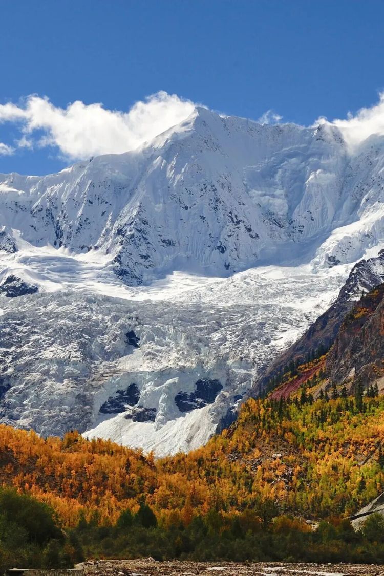 懂西藏的人，一定不會(huì)錯(cuò)過(guò)林芝的秋天