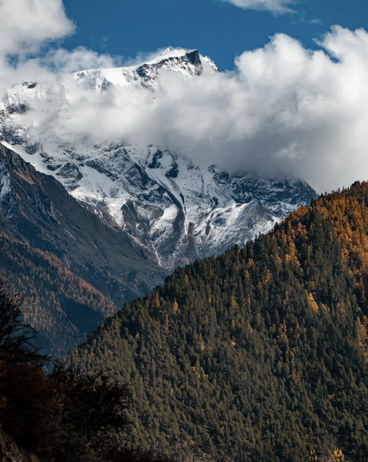 懂西藏的人，一定不會(huì)錯(cuò)過(guò)林芝的秋天