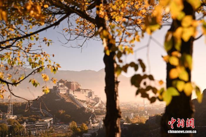 拉薩團結公園秋景如畫