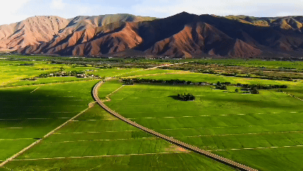 青稞“蛻變”，牦?！俺鋈Α?！看西藏農(nóng)牧民的“十四五”豐收答卷