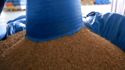 青稞“蛻變”，牦?！俺鋈Α?！看西藏農(nóng)牧民的“十四五”豐收答卷