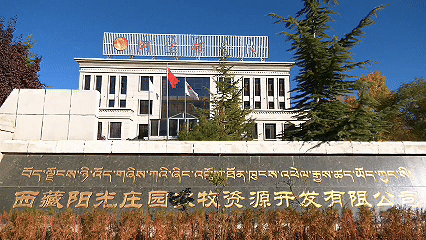 青稞“蛻變”，牦?！俺鋈Α?！看西藏農(nóng)牧民的“十四五”豐收答卷