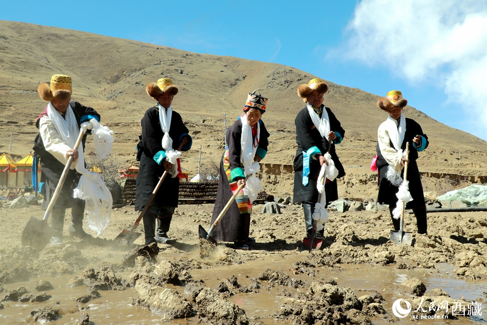 身著傳統(tǒng)服飾的拉東村村民手持鐵鍬疏通水道、引水灌溉，渠水奔涌入田，開(kāi)啟春耕生產(chǎn)。人民網(wǎng)記者 吳雨仁攝